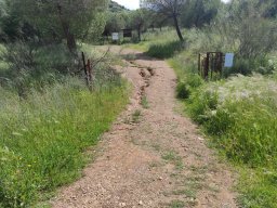 Flora del Cerro Masatrigo